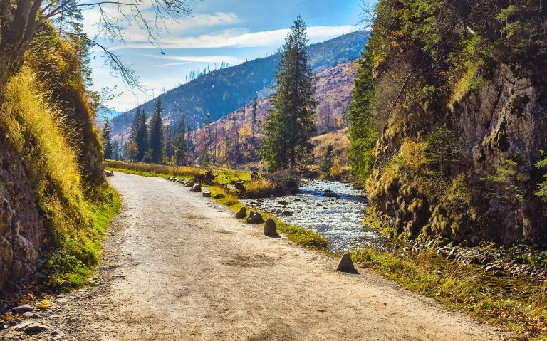 Zakopane domki: Odkryj magię góralskiego stylu w prywatnym wydaniu